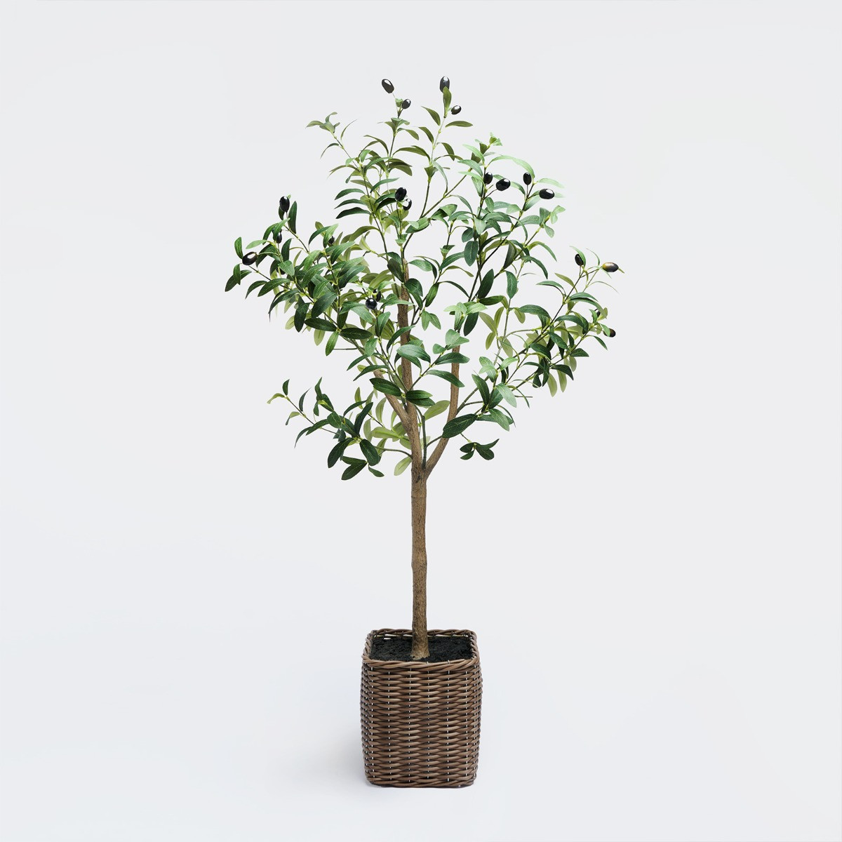 OHS Olive Tree in Basket, Green - 110cm>