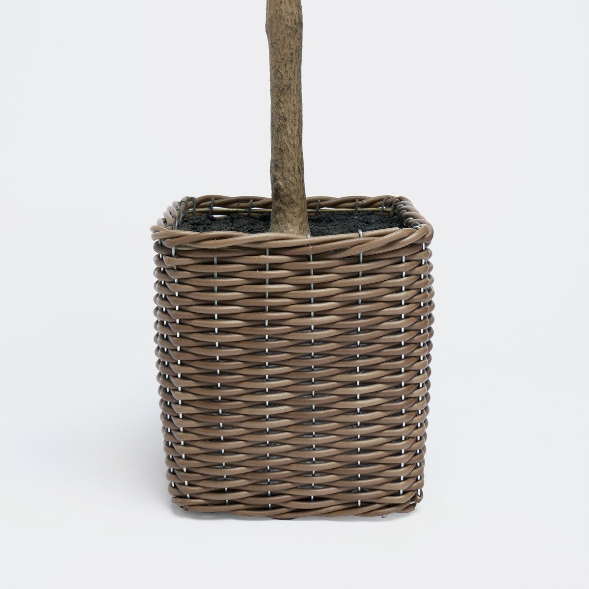 OHS Olive Tree in Basket, Green - 110cm>