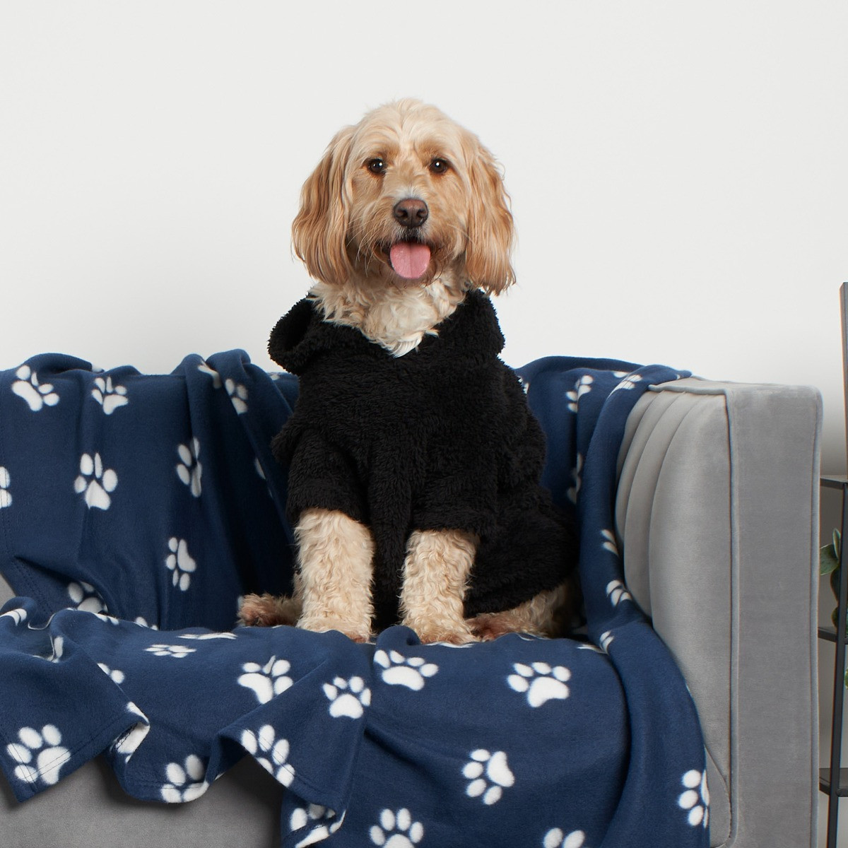 OHS Teddy Dog Hoodie - Black>