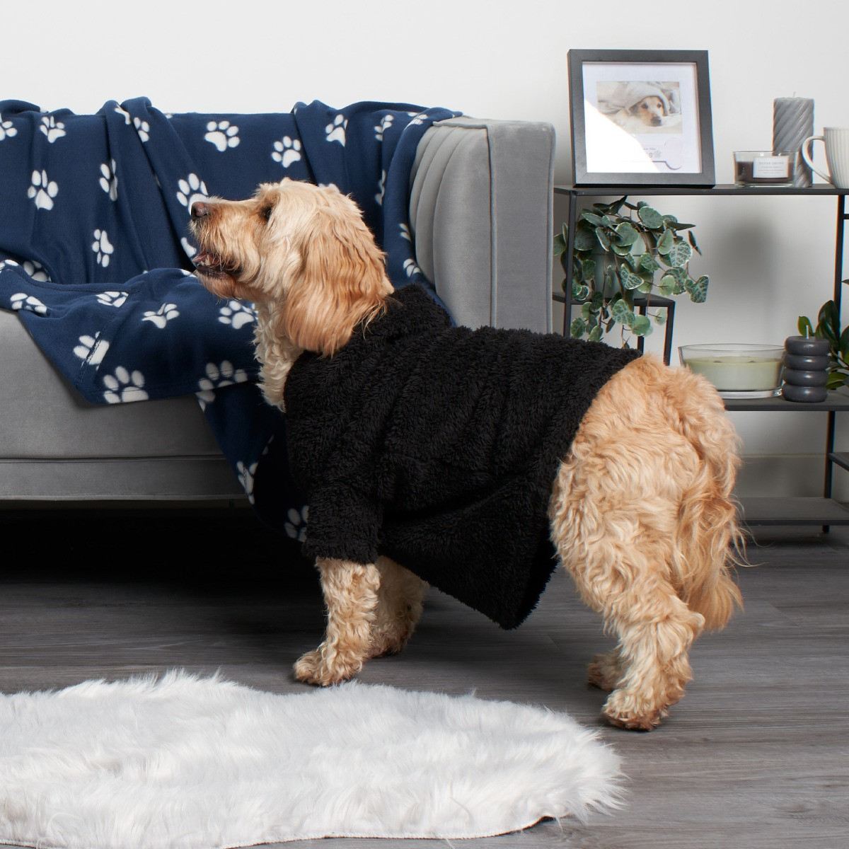 OHS Teddy Dog Hoodie - Black>