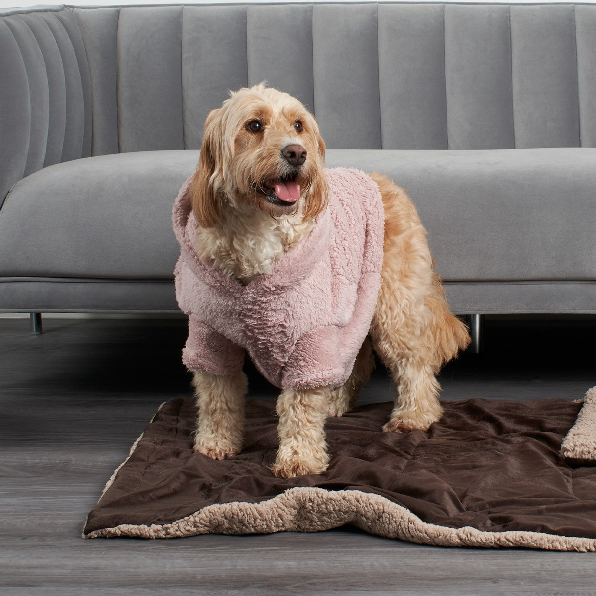 OHS Teddy Dog Hoodie - Blush>