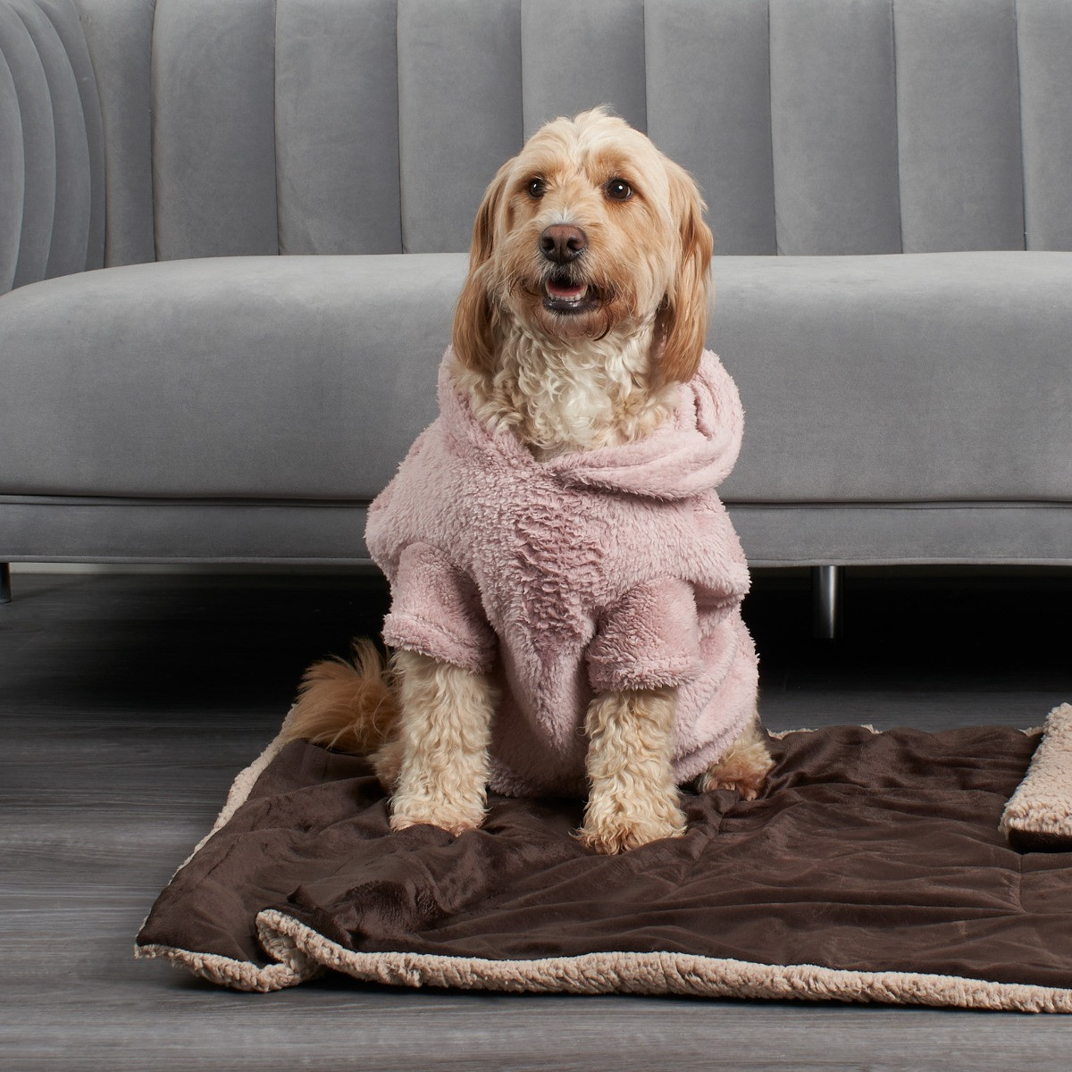 OHS Teddy Dog Hoodie - Blush>