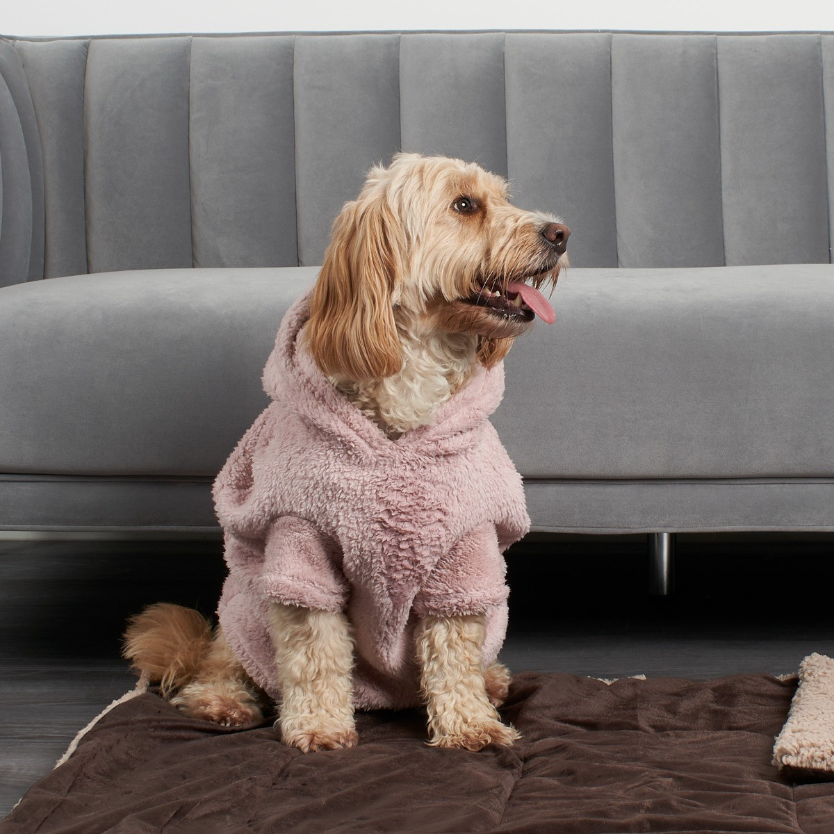 OHS Teddy Dog Hoodie - Blush>