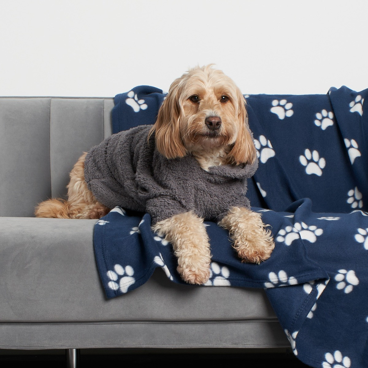 OHS Teddy Dog Hoodie - Charcoal>