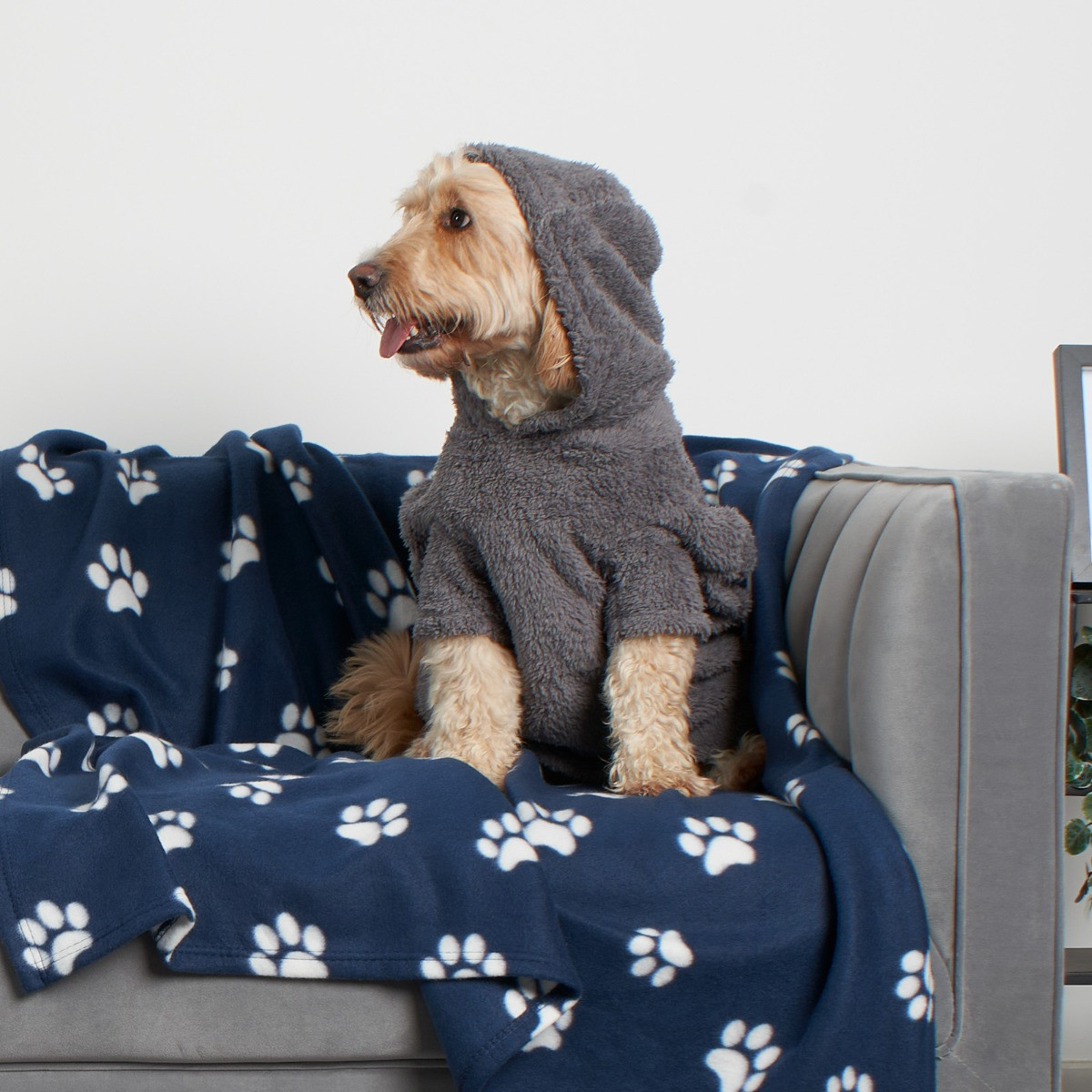 OHS Teddy Dog Hoodie - Charcoal>