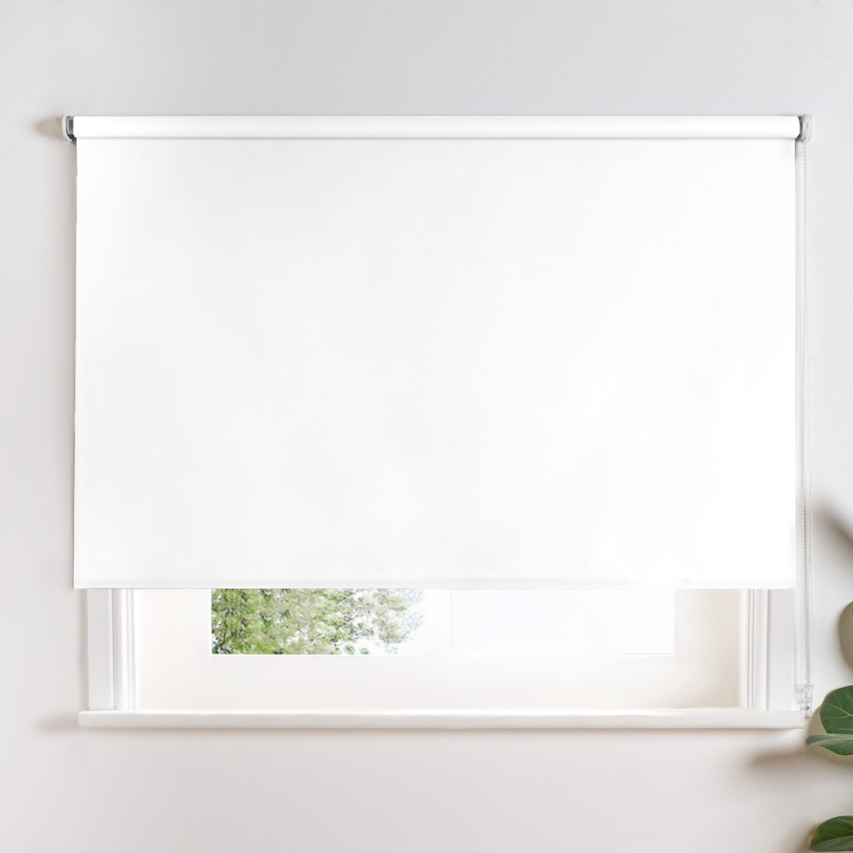 OHS Blackout Roller Blind - White>