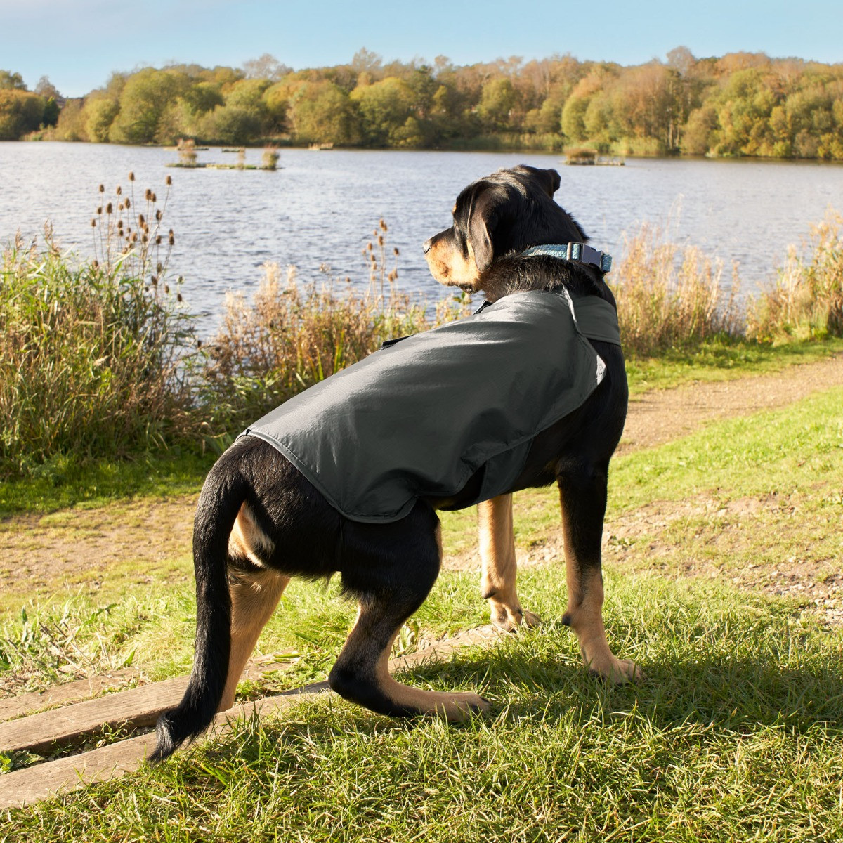 OHS Dog Water Resistant Jacket - Charcoal>