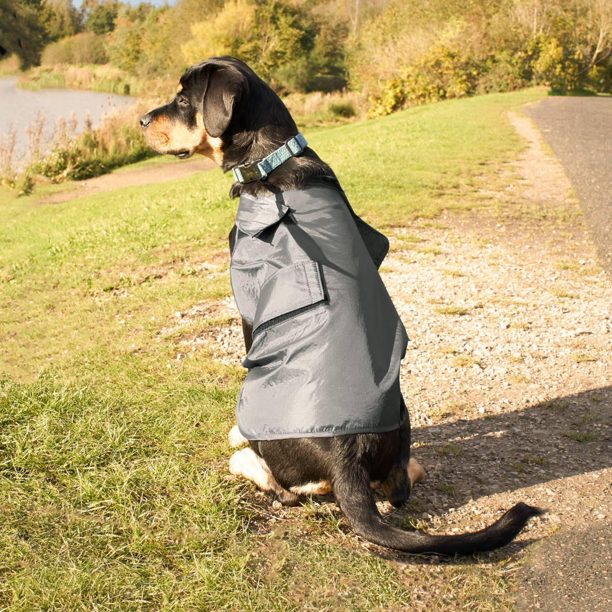 OHS Dog Water Resistant Jacket - Charcoal>