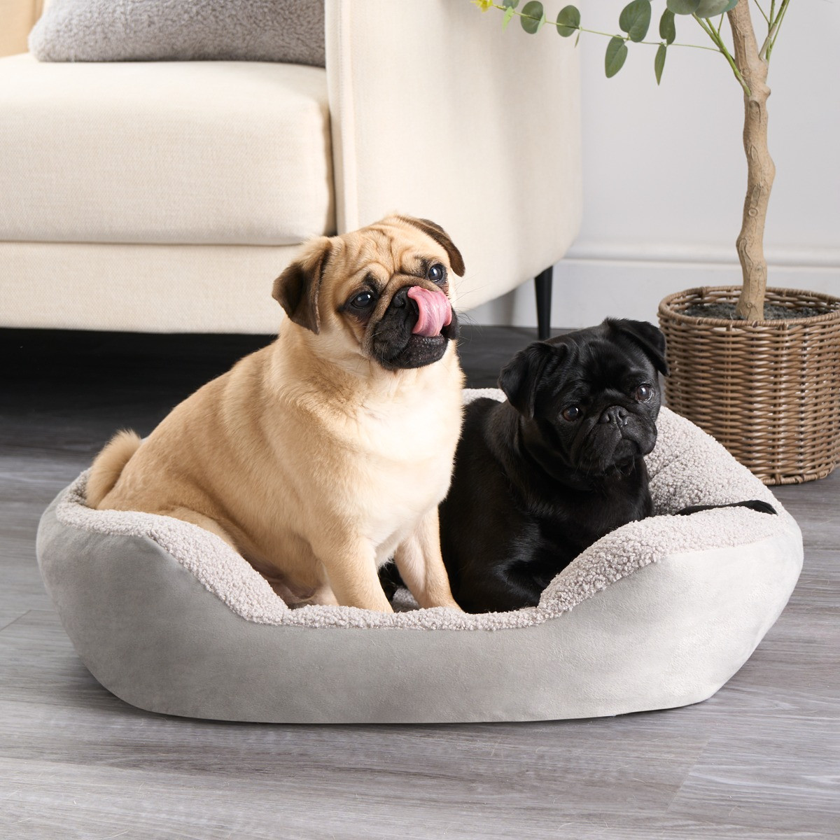 OHS Teddy Matte Velvet Square Pet Bed - Silver>