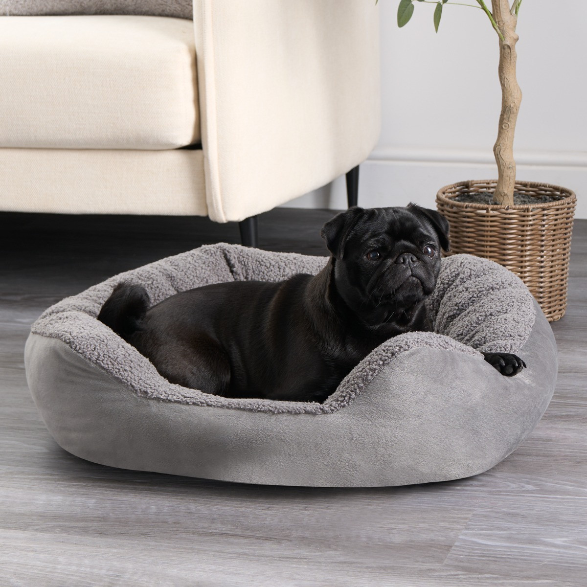 OHS Teddy Matte Velvet Square Pet Bed - Charcoal>