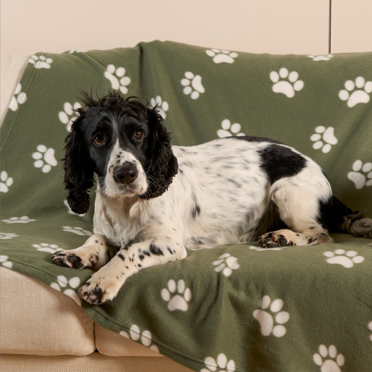 OHS Pet Paw Print Fleece Throw - Green>