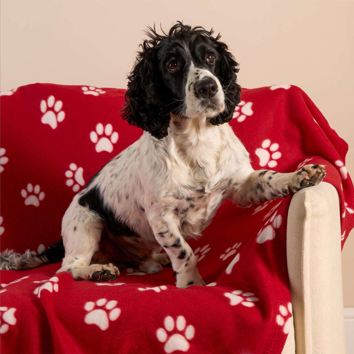 OHS Pet Paw Print Fleece Throw - Red >