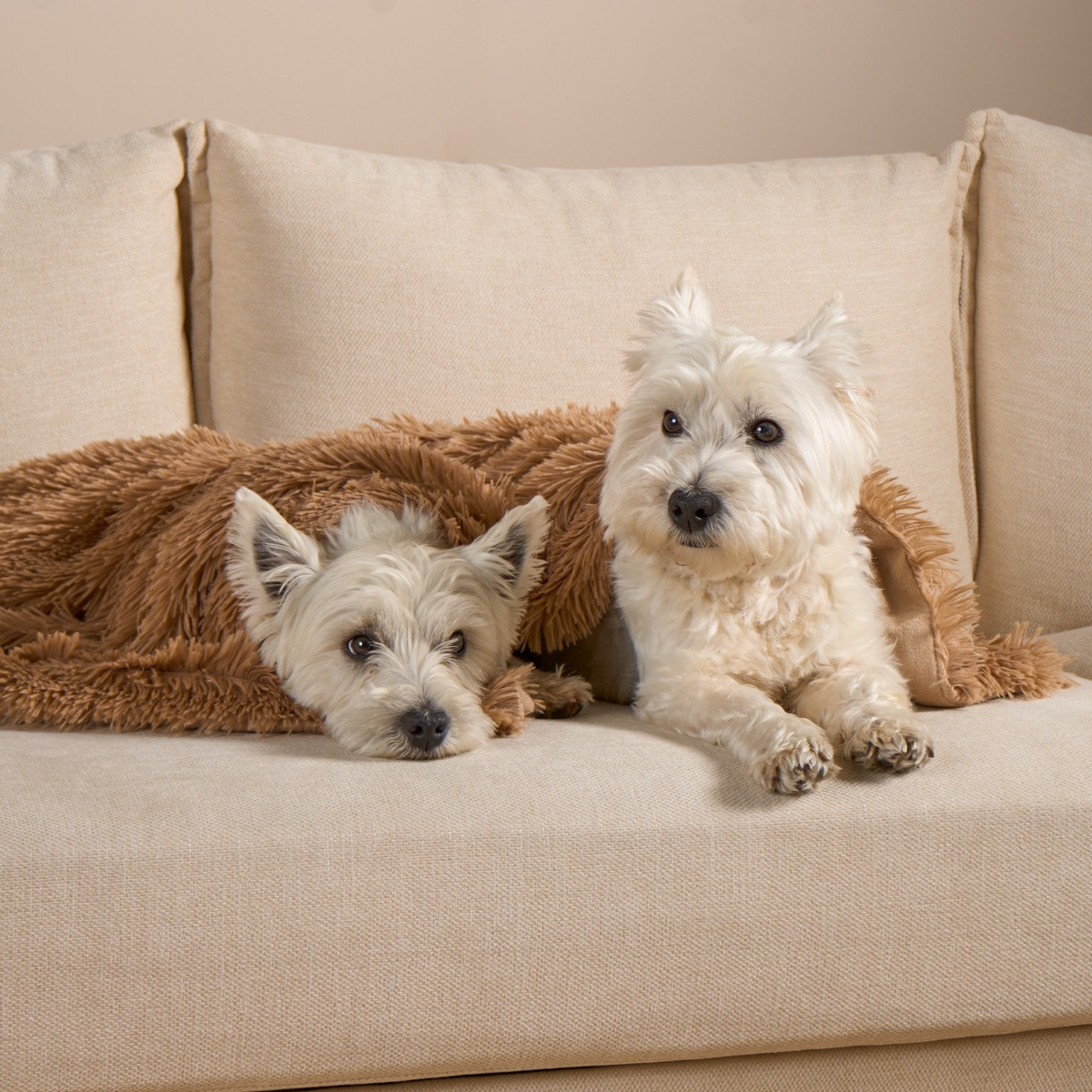 OHS Pet Calming Fluffy Throw - Beige>