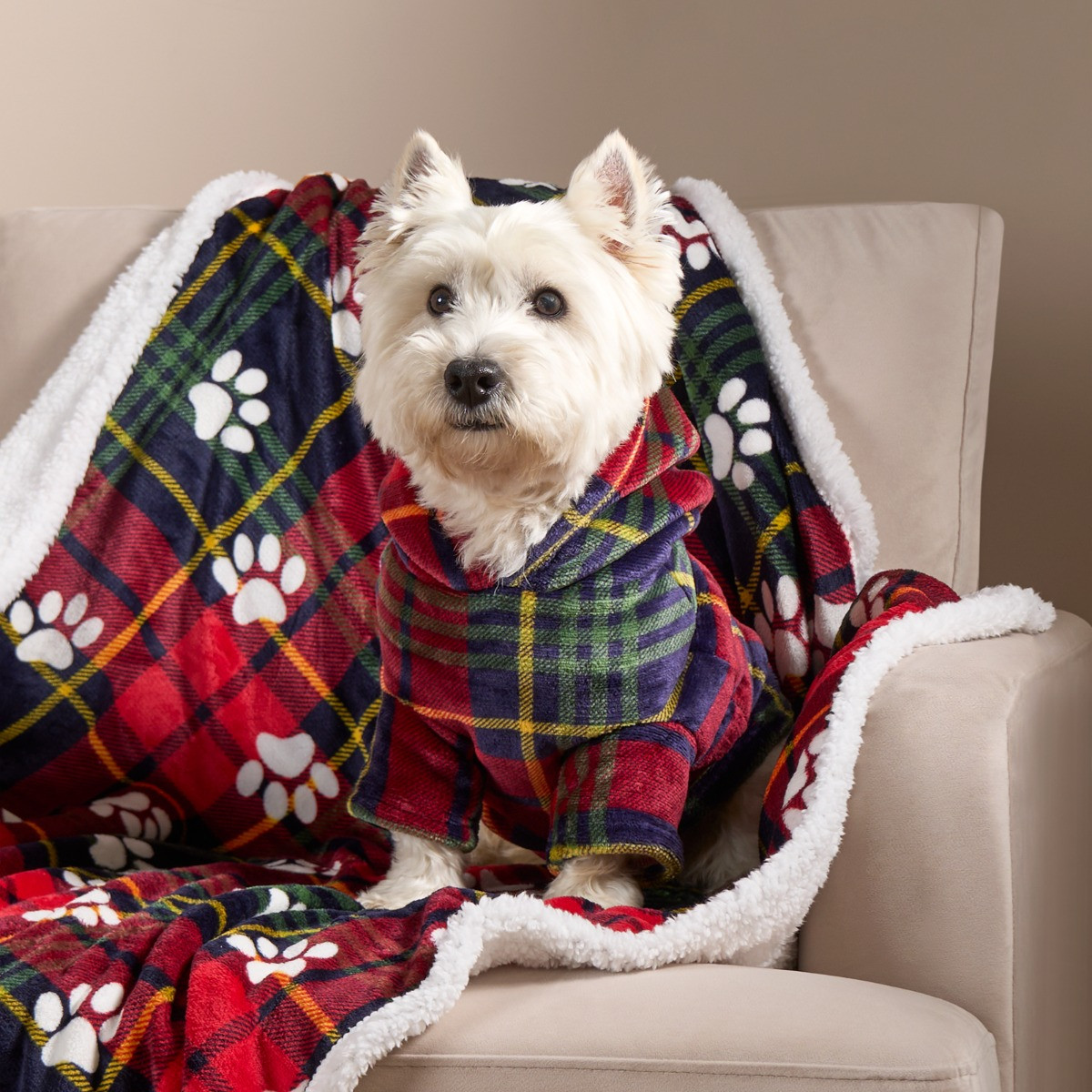 Plaid dog hoodie best sale