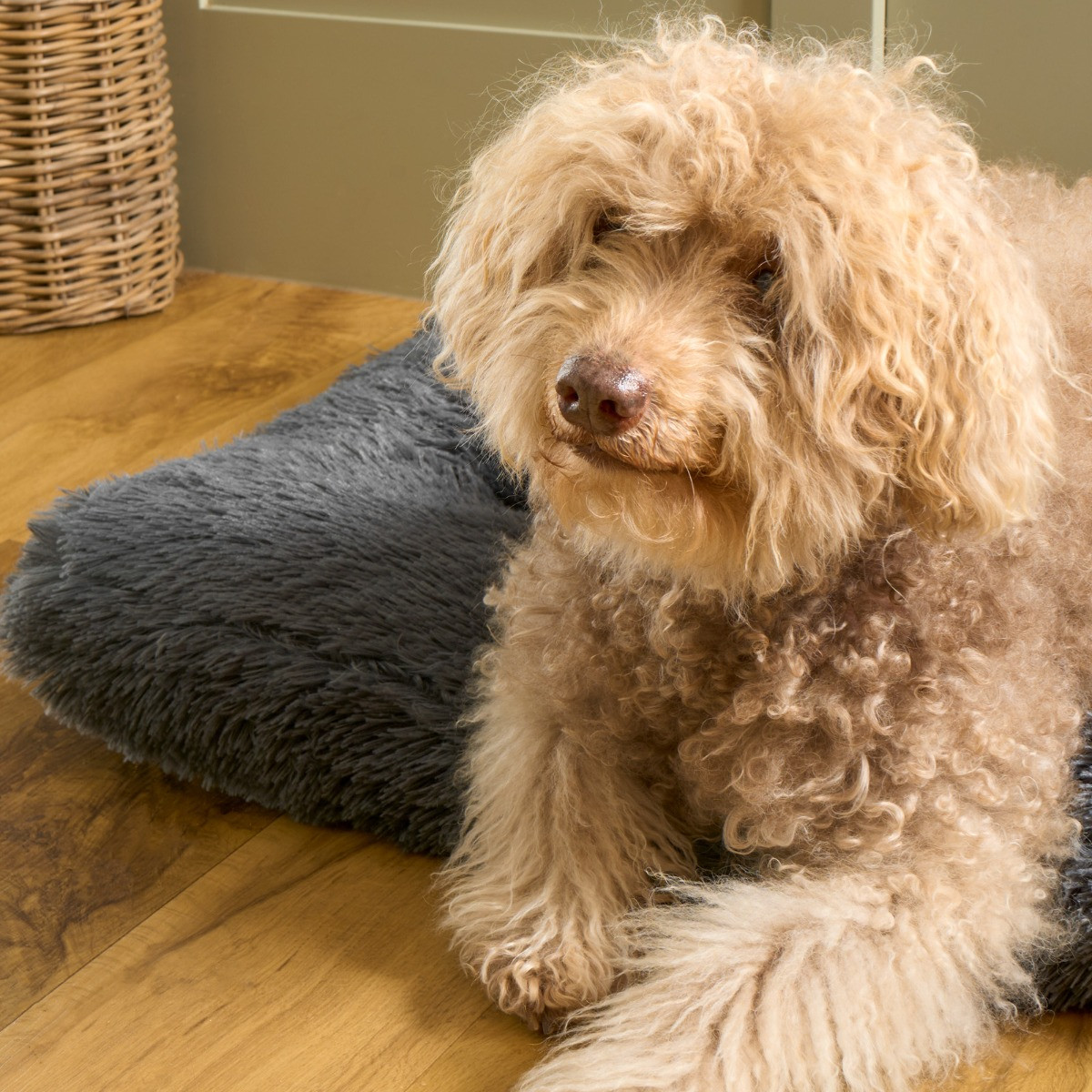 OHS Rectangular Fluffy Mat Pet Bed - Charcoal>