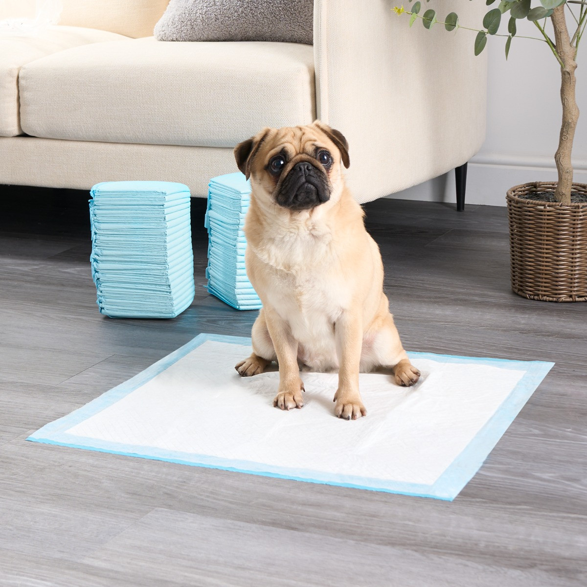 OHS 100 Pack Puppy Dog Training Pads White Blue 60 x 60cm