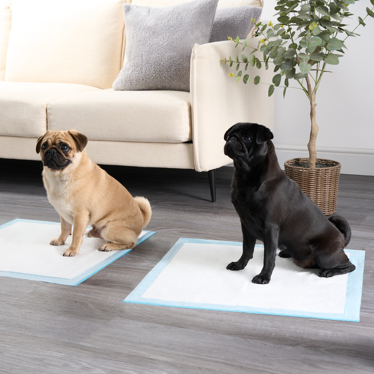 OHS 100 Pack Puppy Dog Training Pads 60 x 60cm White Blue