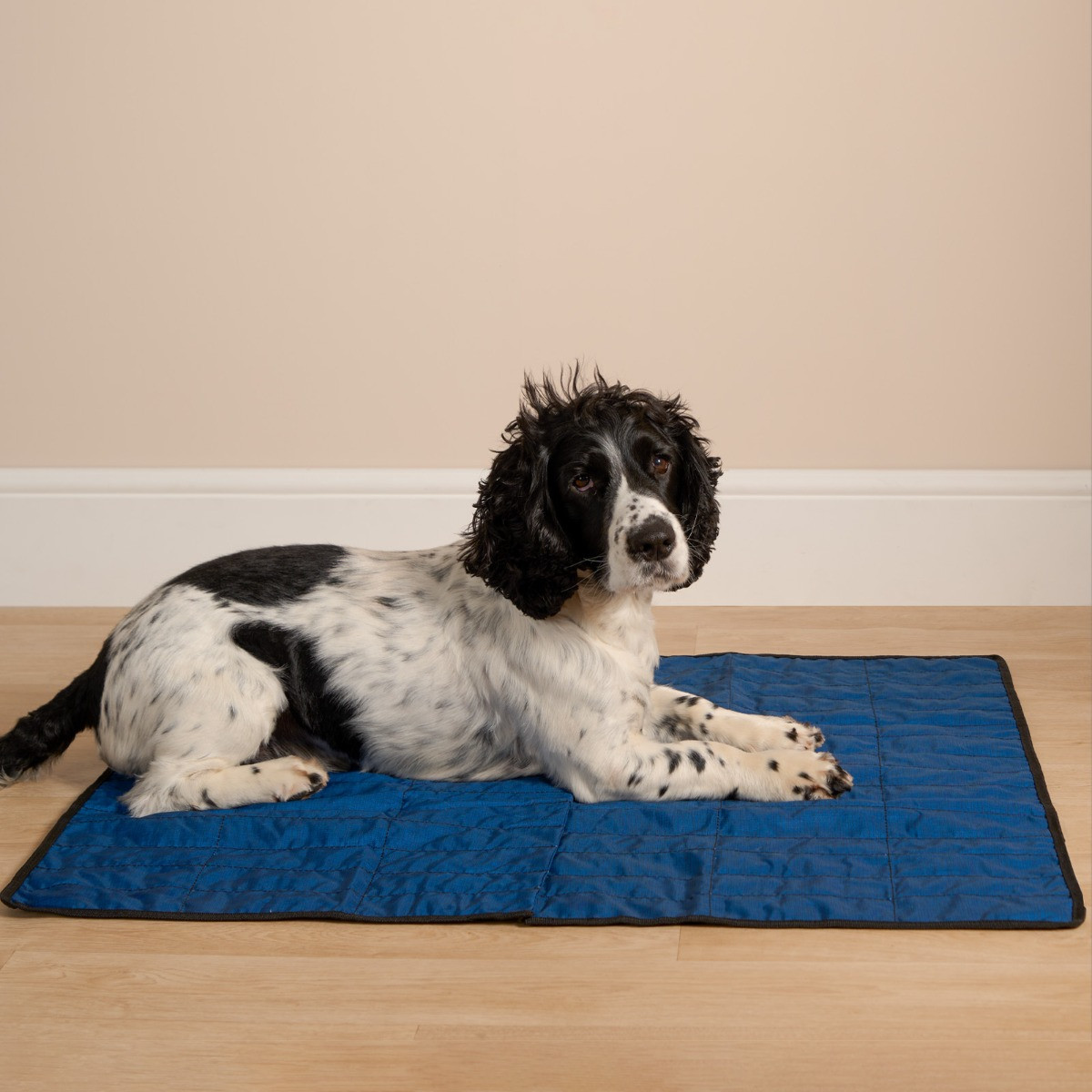 Aqua Coolkeeper Pet Cooling Mat, 80 x 90cm - Pacific Blue>