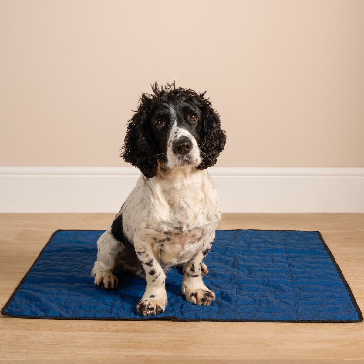 Aqua Coolkeeper Pet Cooling Mat, 80 x 90cm - Pacific Blue>