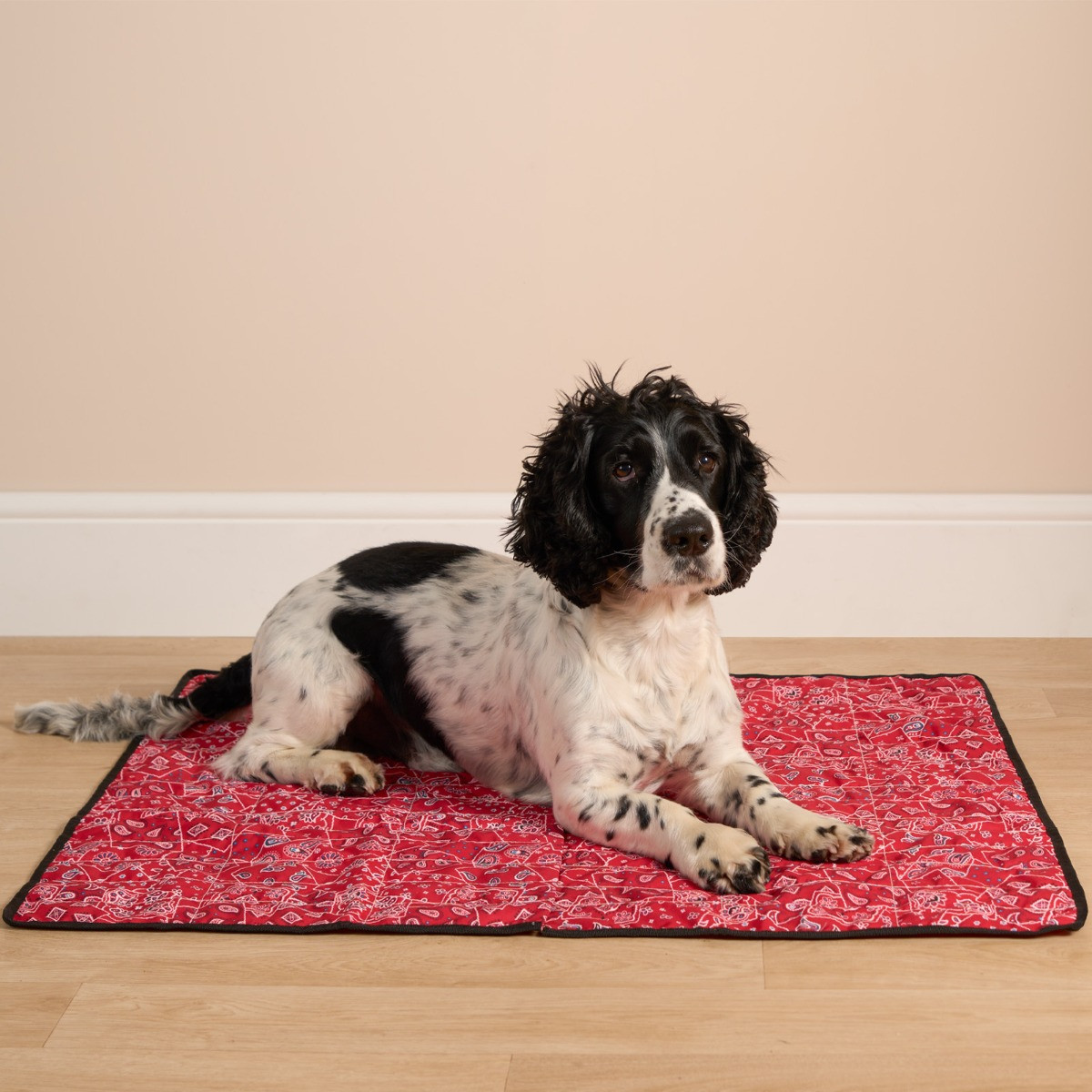 Aqua Coolkeeper Pet Cooling Mat - Red Western>