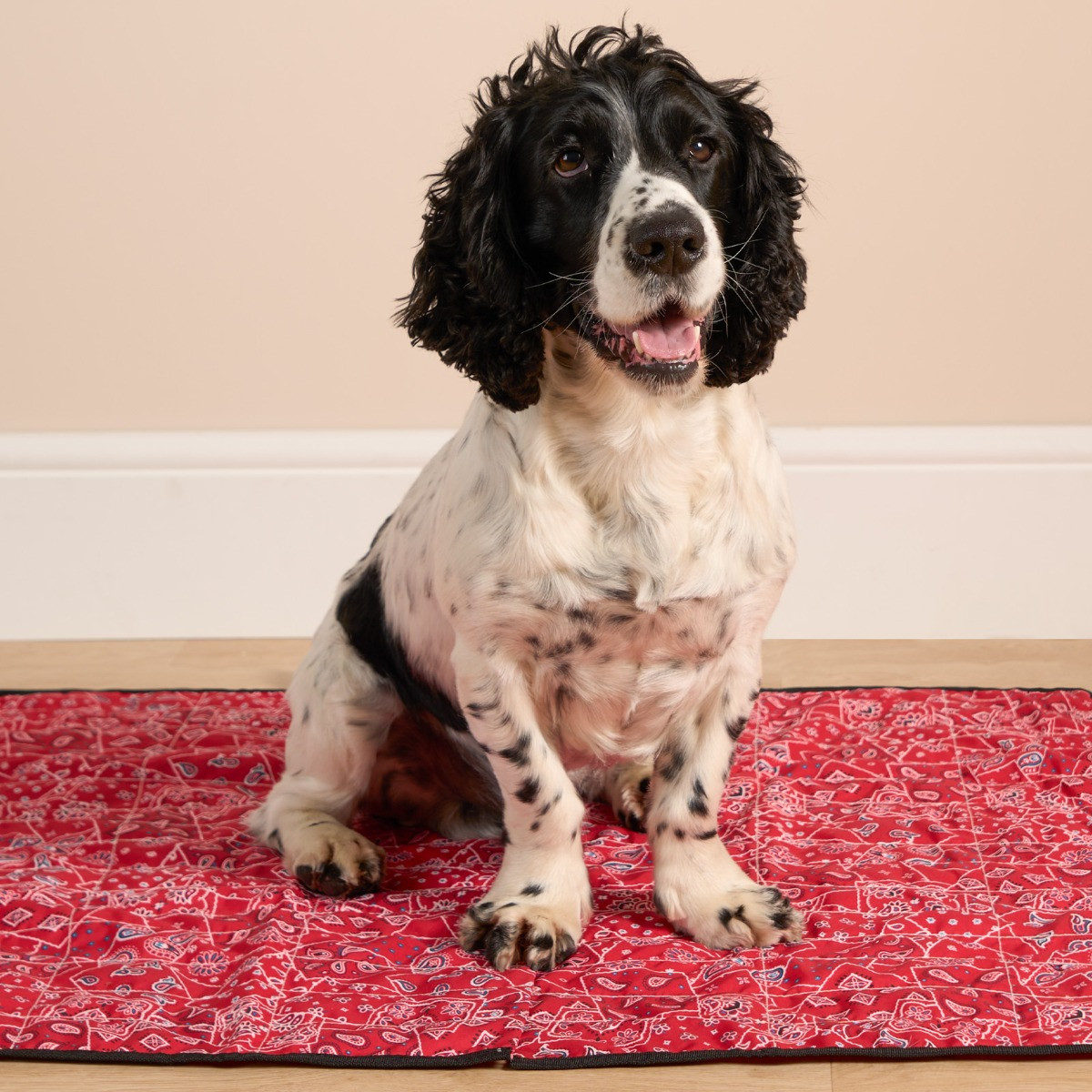 Aqua Coolkeeper Pet Cooling Mat - Red Western>