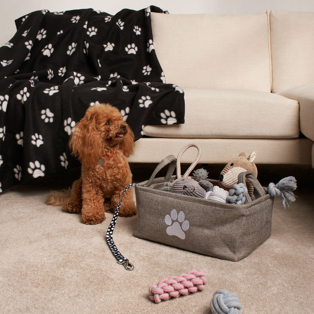 OHS Pet Paw Embroidered Storage Basket - Charcoal>