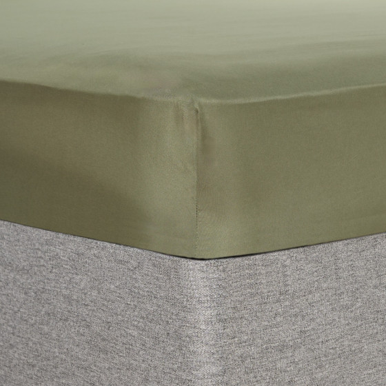 Brentfords Plain Dyed Fitted Sheet - Woodland Green