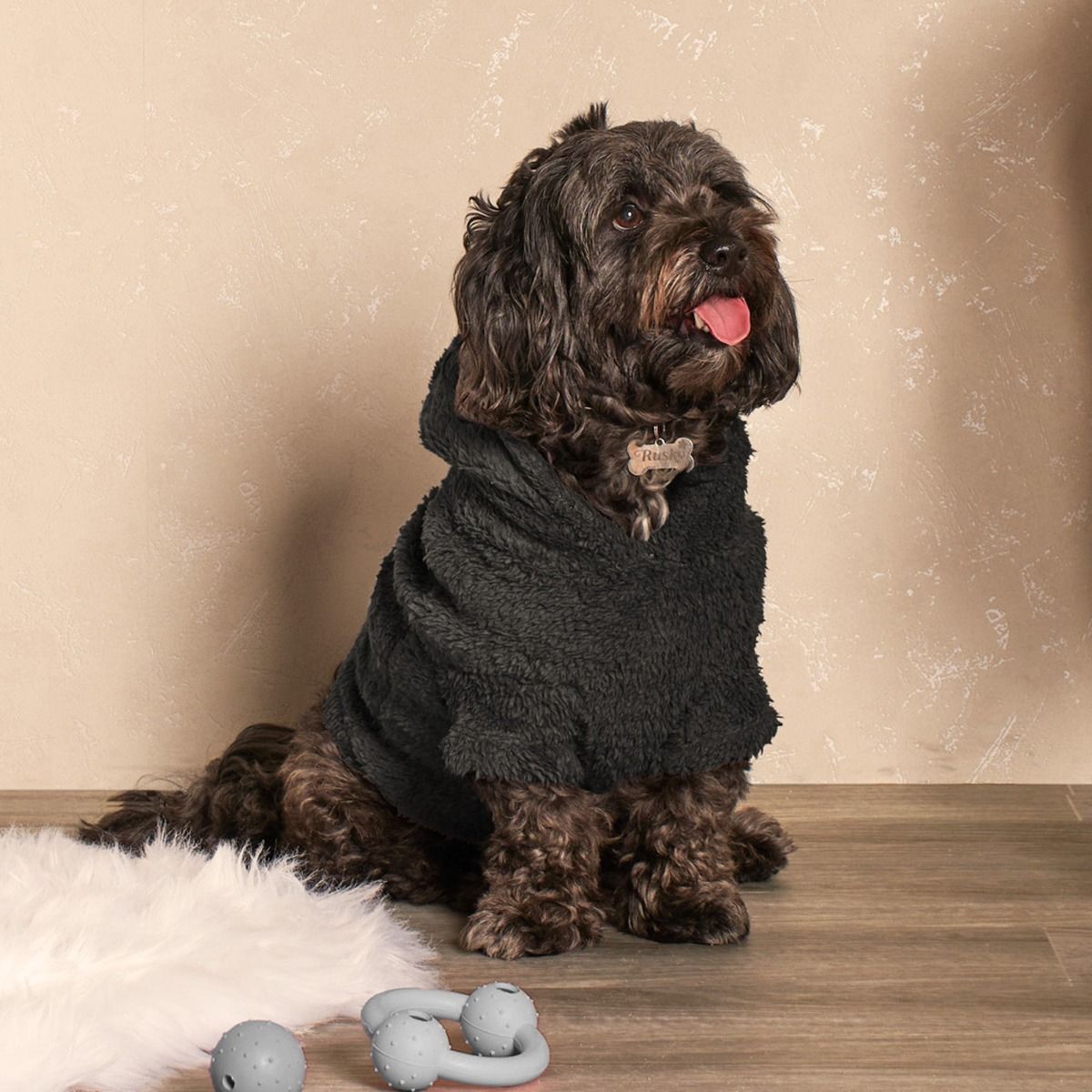 black cockapoo teddy